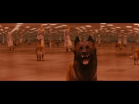 Most creative movie scenes from Divergent (2014)