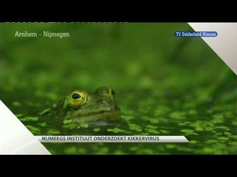 GLD Nieuws 28 februari 2011 - Nieuws