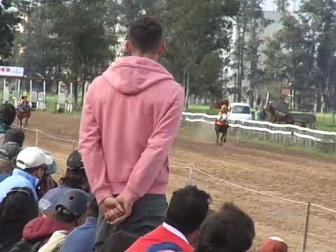 Carrera cuarto de milla treinta y tres