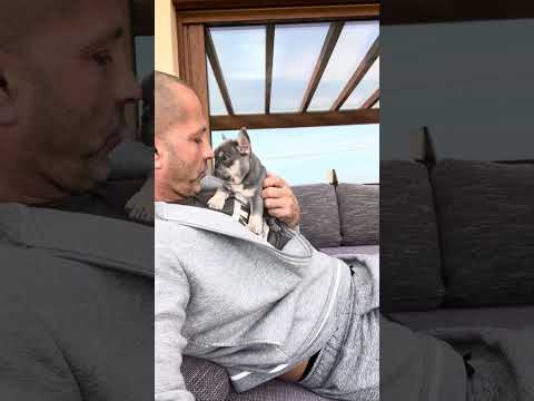 Video 1