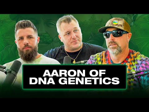 WORLD’S BIGGEST SEEDS SELLERS FROM CALIFORNIA TO AMSTERDAM | AARON OF DNA GENETICS | FSOTD EP. 42