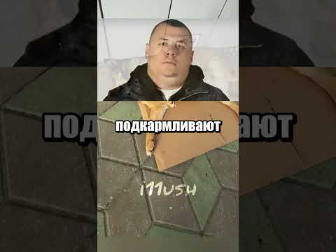 Жители Беларуси как всегда сверхлюди 🇧🇾