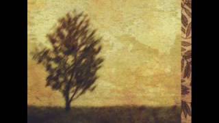 Darshan Ambient - Autumn's Apple