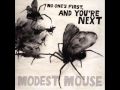 Autumn Beds By Modest Mouse