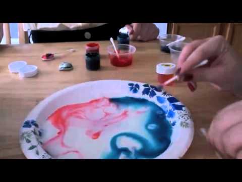 Digital Video Project