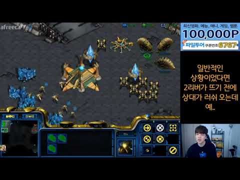 PvP Rain's 1 gate robo standard guide