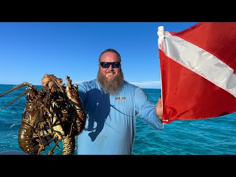 Diving for Lobster in the Florida Keys!!! Catch-Clean-Cook