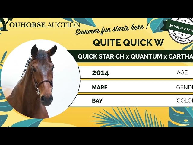 Quite Quick showvideo