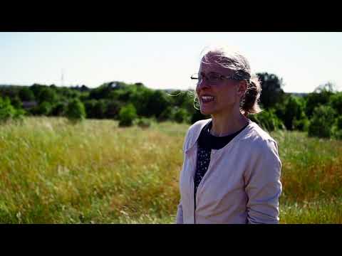 Beathe Krueger - Kom hviledagen i hu