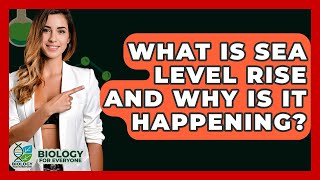 What Is Sea Level Rise And Why Is It Happening? - Biology For Everyone