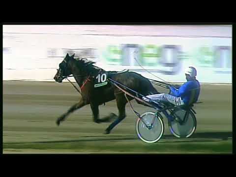 Trotto 07/02/2020 - 1ª corsa