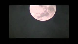 Luna Llena   Studio Suicide 1980