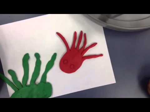 The Hungry Hungry Octopus