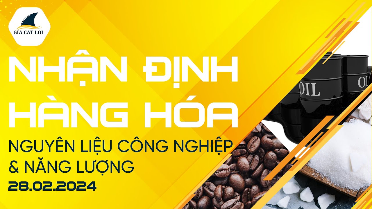 Nhận Định Hàng Hoá Năng Lượng & Nguyên Liệu Công Nghiệp Ngày 28/02/2024