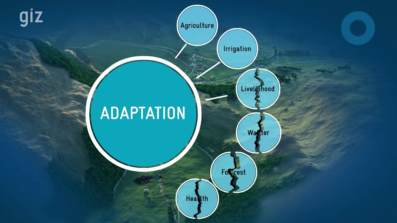 Mainstreaming Adaptation