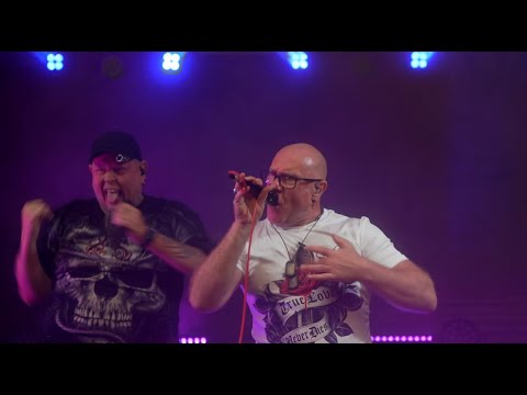 Hellad Velled – Cha Cha Cha | Estonian Cover |