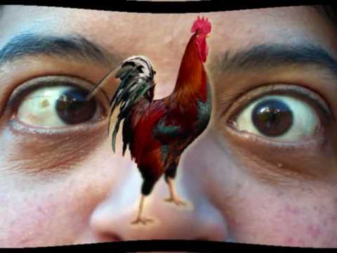 The Dim-Eyez of CHAIRROReezDaz