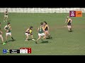Darling Downs AFLQ  - Preliminary Finals 2024 - Allied Cup Mens