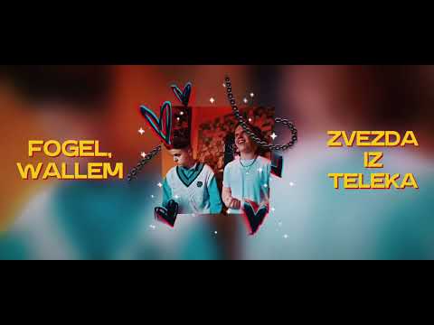 ФОГЕЛЬ, WALLEM — ЗВЕЗДА ИЗ ТЕЛЕКА (New Release, 2024)