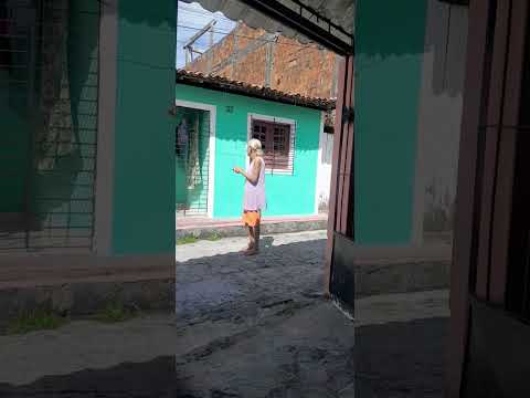 boa tarde amiga lineu  de itapissuma Pernambuco  canal dá família