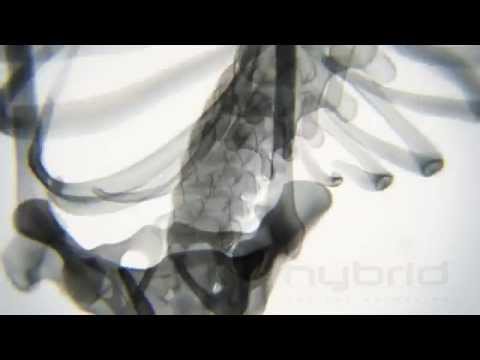 "Yoga" X ray Body in Motion