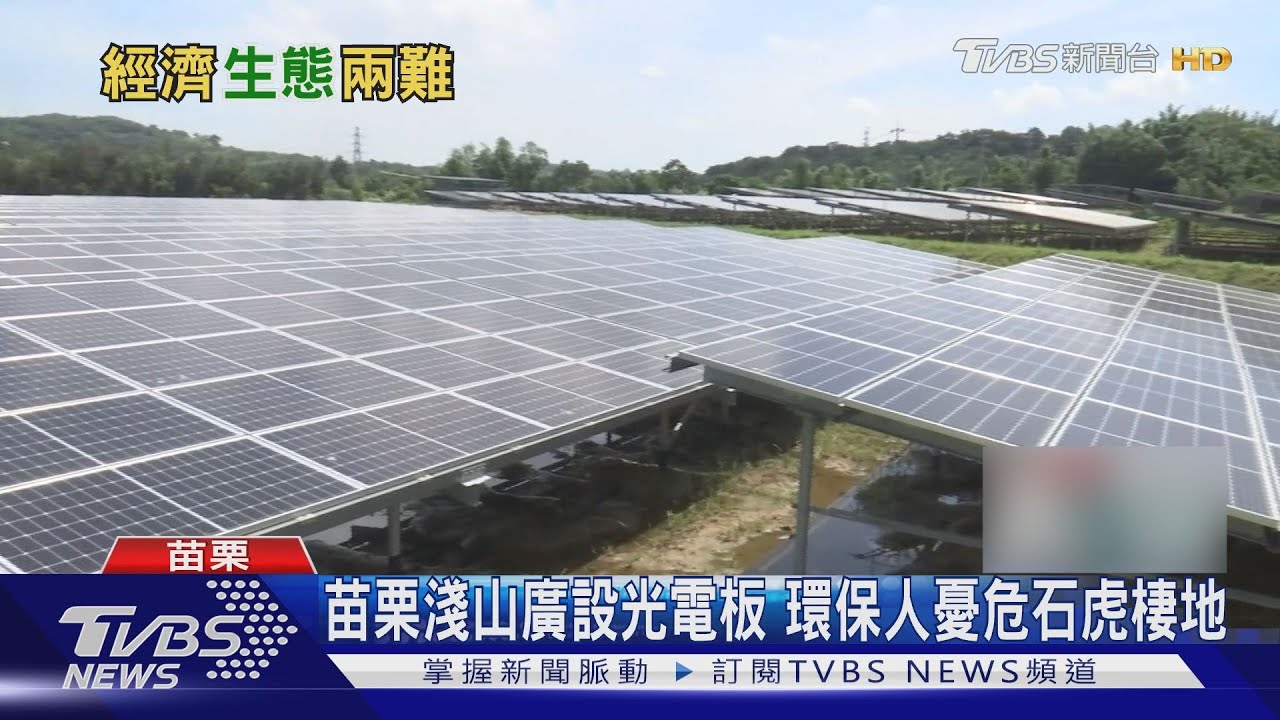 苗栗淺山廣設光電板 環保人憂危石虎棲地