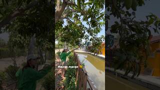 Umi vlog in Thanland🇹🇭👩🥭 #タイ #vlog #バンコク生活 #liveinthailand