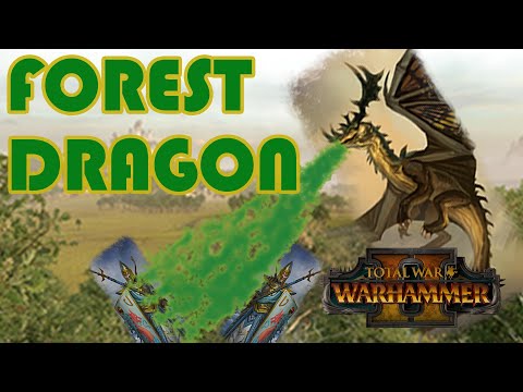 The WORST Dragon? - Wood Elves vs High Elves // Total War: WARHAMMER II Multiplayer Battle