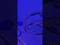 Short Fyp Blue Lightroom Nightcore