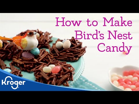 download lagu mp3 mp4 Bird Nest Candy, download lagu Bird Nest Candy gratis, unduh video klip Bird Nest Candy