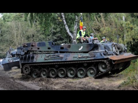 Bergeleopard in action!