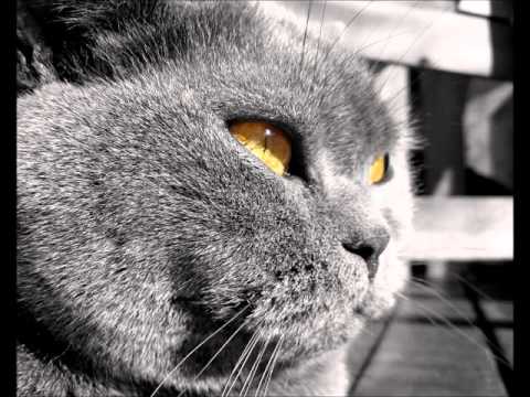 Vlad Zhukov - Day By Day (in your eyes)