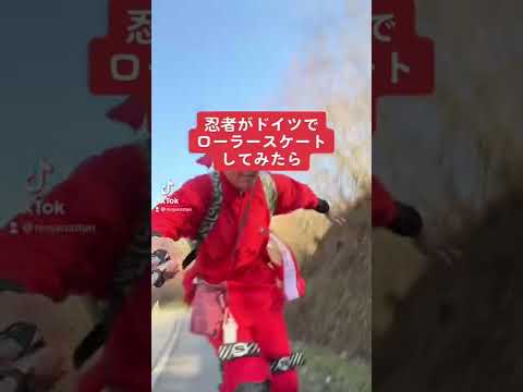 Coracias garrulus distr.png