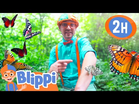 Blippi Visits A Butterfly Science Museum |  Blippi and Meekah Best Friend Adventures