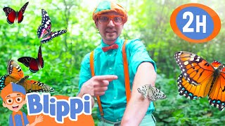 Download lagu Blippi Visits A Butterfly Science Museum |  Blippi and Meekah Best Friend Adventures mp3