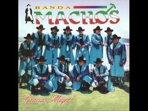 download lagu mp3 mp4 Banda Machos Chiquita Bonita, download mp3 Banda Machos Chiquita Bonita free download, download mp3 Banda Machos Chiquita Bonita