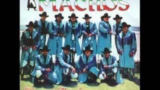 Chiquita Bonita Lyrics English Translation