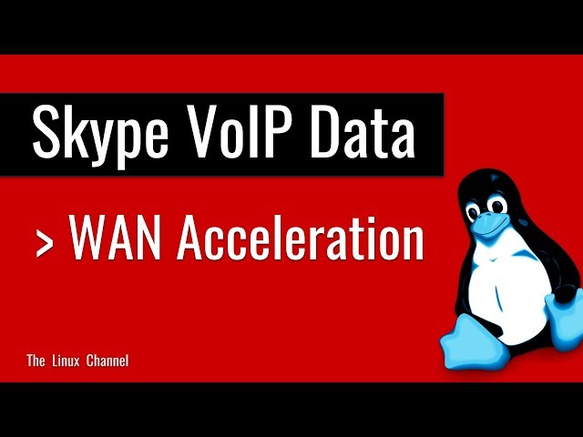Skype VOIP Data - WAN Acceleration
