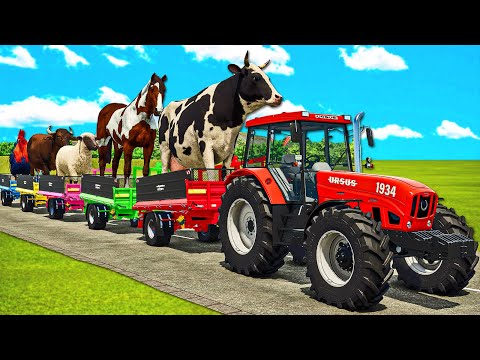 TRANSPORT OF COLORS! MEGA WORK WITH ROOSTER, COW, SHEEP, BUFFALO & HORSE! FS 25