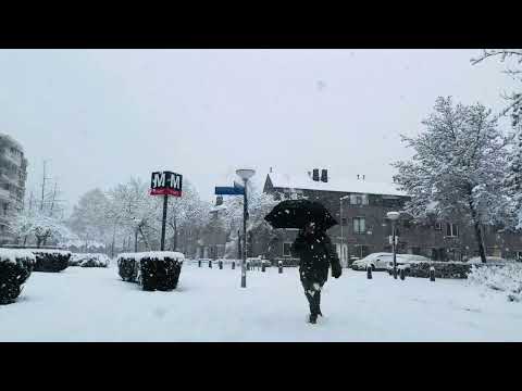 Amazing Sight Heavy Snow in Amsterdam - Winter of 2026 