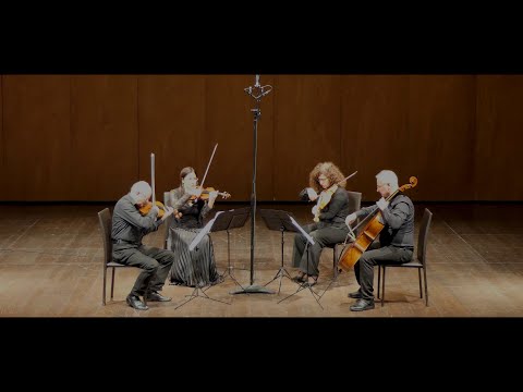 Inno alla gioia (inno Europeo Sinfonia N 9 di L.v. Beethoven) - arr. di David Cerquetti