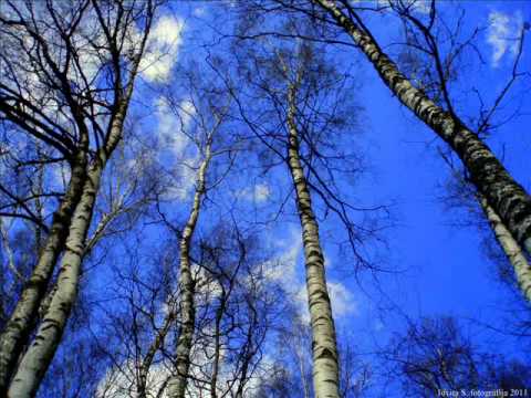 Sewrou ir Ozanostra - Tas pats