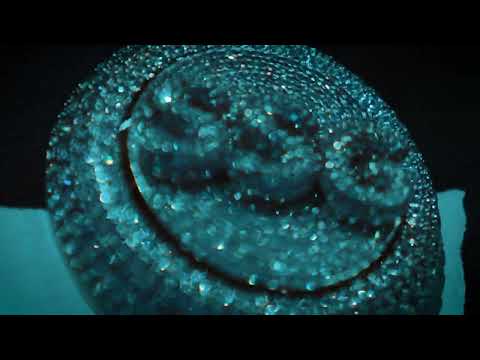 M1Caspa - Phenergan (Official Video)