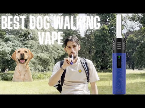 The Best £83 Dry Herb Device? - Arizer Air SE