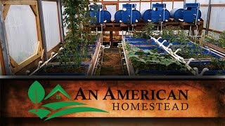 The Fall Greenhouse - An American Homestead