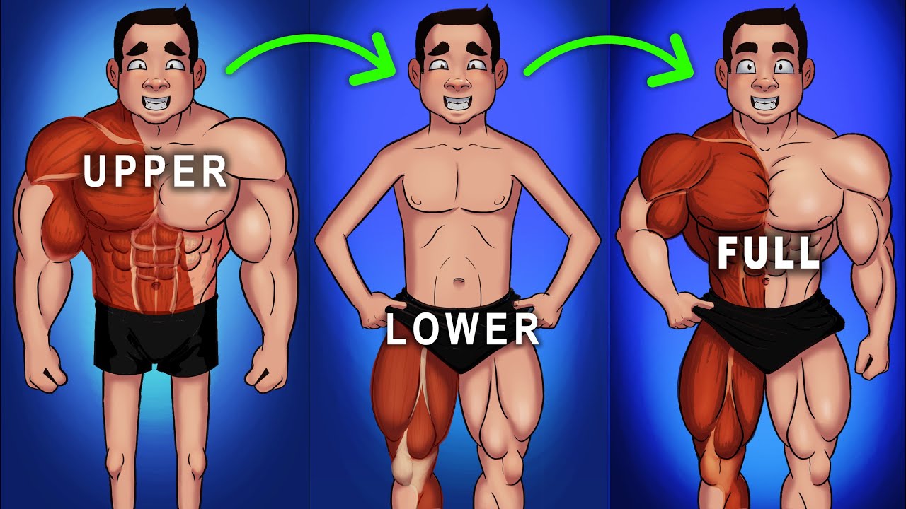 5 Reasons to Train Full-Body Everyday