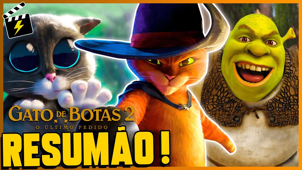 RESUMÃO GATO DE BOTAS 2 O ÚLTIMO PEDIDO | RAIO FILMES