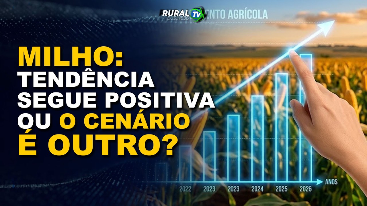 MILHO: TENDÊNCIA SEGUE POSITIVA OU O CENÁRIO É OUTRO?