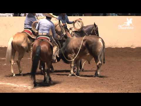 The Top 5 Ternas – National Charro Querétaro 2015