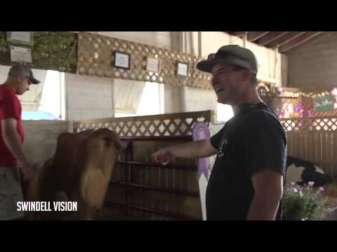 Swindell Vision 2015 Episode 24 - Milking a Cow